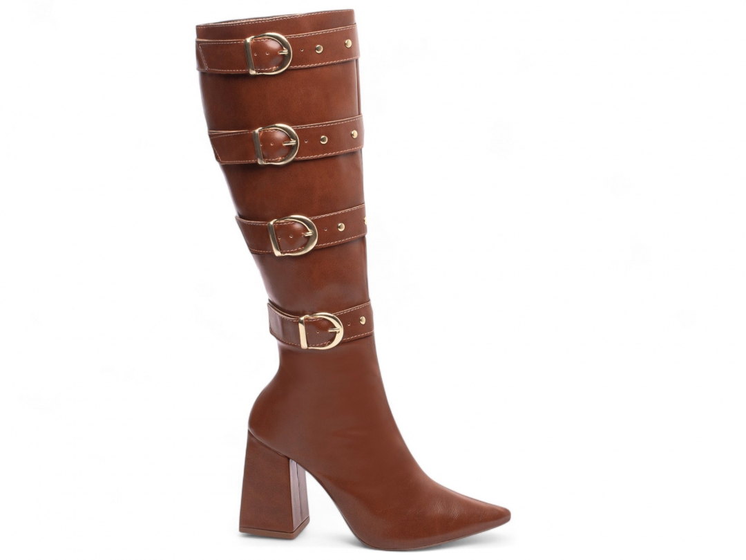 Bota Bico Fino Feminina