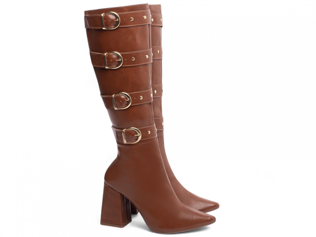 Bota Bico Fino Feminina